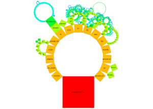 pythagoras_qt_Circle_SameBaselines_HeightSameAsBaseline